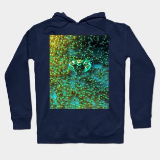 WORLD WILDLIFE DAY Hoodie